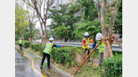 울산시설공단, 가로변 조경관리공사 실시