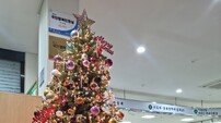 보은군청 민원실, ‘연말연시 희망’의 크리스마스트리 운영