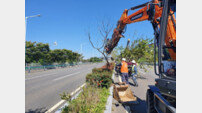 울산시설공단 가로수 결주지 보완식재공사 실시