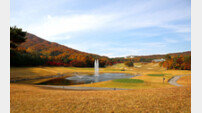 참나무 숲과 맑은 계곡…‘힐링샷의 성지’ [김맹녕의 명문 골프장 탐방]
