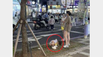 제주 도로에 아이 대변 싸게 한 中 관광객…서경덕 교수 “경범죄 처벌 해야”