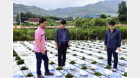 최훈식 장수군수 “안정적 국화 재배 기술 지원 강화할 것”