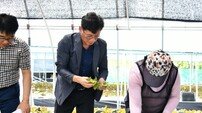 최훈식 장수군수 “농산물 안정 생산 통해 상추 경쟁력 향상”