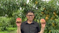 옥천군, 포도왕·복숭아왕 선정…농가의 자긍심 높여