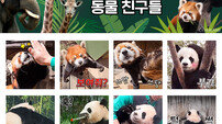 에버랜드, ‘판다 옆 동물 친구들’ 이모티콘 출시