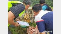 진천군, 메기 27만 마리 떼죽음… 안전 관리 허점 드러나