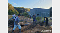 ‘농촌 일손 부족’ 심각…강원도, 솔선수범 나서