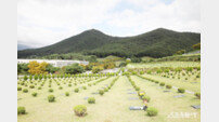 부산시설공단, 부산추모공원 ‘가족봉안묘’ 잔여분 사용허가 신청 접수