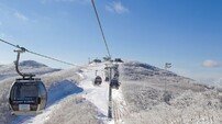 슬로프부터 애프터 스키까지…하이원 명품 겨울 리조트로 도약 준비