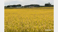 전남도, 벼 경영안정대책비 570억 ‘전국 최다’