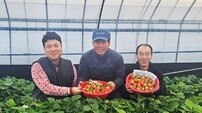  “딸기 2600톤 매입 ”…쿠팡, 산지 확대