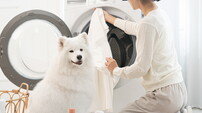 우리집 댕댕이 털·냄새 99% 싹 없앤다