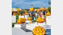 고흥군, 전남 대표 명품축제 위상 ‘우뚝’