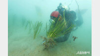전남도, 수산자원 회복에 188억 원 투입