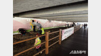 인천 계양구, 서부간선수로 벽화 그리기 사업 진행… 안전한 보행환경 조성