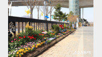 인천 계양구, ‘계양아라온’ 26종 1만 6천여 본의 봄꽃…화려한 경관 연출