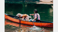 소노펫 비발디파크, ‘펫 동반 카누투어 패키지’ 출시