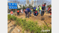 인천 계양구, ‘자원봉사자 60여 명’ 계양구 진입로에 600그루 나무 심어 도시미관 개선
