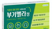 태극제약, 식물성 성분 함유 소염효소제 ‘부기멜라정’ 출시