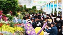 제27회 함평나비대축제 방문객 작년 대비 22% ↑