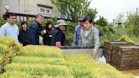 옹진군, 고품질 쌀 생산 위한 농업 기술 지원 강화…‘적기 모내기 중점 지도기간’