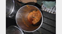 [뉴스뿌셔] 곰팡이 낀 폐공장에서 만든 김치찌개 16톤…식당에 팔았다