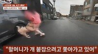 [뉴스뿌셔] 진돗개에 물린 예비신부, CT 찍겠다니 “너무 과하신 거 아니냐?”는 견주