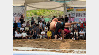 영광법성포단오제 씨름왕대회·전국씨름왕 전남도선발대회 성료