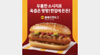 맥도날드, 풍성한 맛 구현한 신제품 ‘눈길’