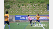 영덕에서 열린 제30회 경상북도지사기 생활체육 축구대회 성료