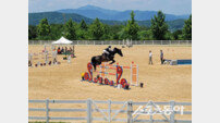 상주시, 제41회 대통령기 전국승마대회 뜨거운 성료