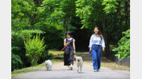 에버랜드, 반려견 동반 숲 속 힐링 프로그램 ‘멍하니 걷개’ 론칭