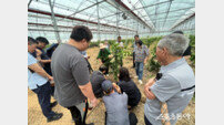 곡성군, 전문 마이스터 초빙 ‘고품질 만감류 재배 현장컨설팅’ 개최