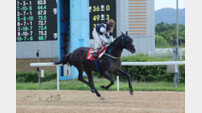 [경마]코리아 프리미어 시리즈, 18회 오너스컵으로 29일 개막