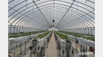 무주군, 시설 원예 현대화·스마트 기술 도입 지원