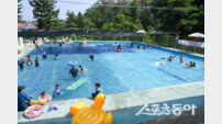 영주시, 도심 속 여름철 야외 물놀이장 3곳 순차 개장