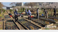 인천 서구, ‘실버농부의 기억텃밭’ 치유농업 프로그램 진행…오감 자극