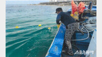 강원도, 해수욕장 유해생물 방지망 설치 본격화…어민 협업으로 예산 절감·안전 강화