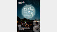 강원관광재단, 8월 추천 여행지로 태백·강릉 선정…여름밤 축제·문화유산 체험 풍성