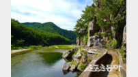 울진군, 계곡·숲·바다 품은 힐링 코스… 체류형 관광지로 각광