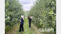 청송군, 폭염 속 농작물 피해 예방 ‘총력’…현장기술지원단 운영