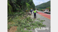 청도군, 집중호우 대비 도로환경 정비로 군민 안전 지킨다