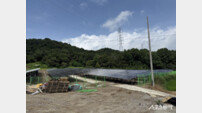 담양군, 금성면 태양광 개발현장···농지법 위반 논란