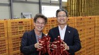 영양군, 2025년산 홍고추 5,000톤 수매 시작