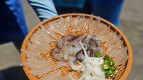 속초 오징어 난전, 바가지로 지갑 회 뜨는 현장