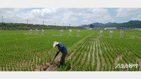 전남도, ‘저탄소 농산물’ 인증면적 전국 1위 기대