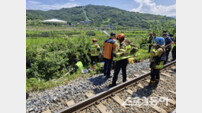 청도 남성현역 인근 선로 점검 중 열차 추돌…7명 사상