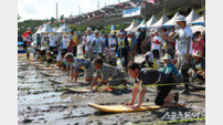 보성군, 가족 친화형 ‘2025 보성 벌교 갯뻘축제’ 개최