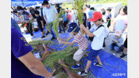 화성시, ‘가을걷이 체험 축제’ 개최…“농업 가치 배우는 뜻깊은 자리”