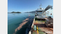 완도군, 적조 대응 정화 운반선 긴급 투입